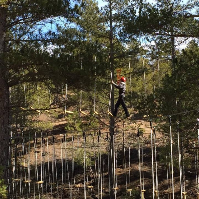 Cruzando entre arboles
